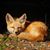 Kim Childs Richardson's profile image