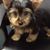 Marilyn Murphy Bush's profile image