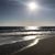 Michelle Oneill's profile image