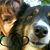 Lucinda Kay's profile image