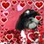 Cindy Curto's profile image