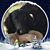 Martha M. Hall's profile image