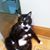 Debby Petty's profile image