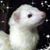 Katt Patt's profile image