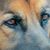 Sue Ann Kuehne Ford's profile image