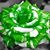 Denise Devine's profile image