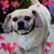 Carla Loeber Sullivan's profile image