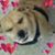 Maureen O'Leary's profile image