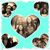 Alexia Roblero Bermudez's profile image