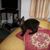 Dorris Williams Croasdell's profile image