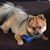 Susan Desantis's profile image