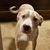 Ryan Joseph Bergner's profile image