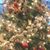 Angie Praus Mackey's profile image