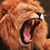 Nathan J Weaver's profile image