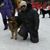 Karmit Sheth's profile image