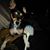 Diane Goodman's profile image