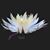Roxanne Alicata's profile image