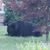 Lester C Griel III's profile image