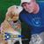 Steve Saunders's profile image