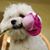 Marly Jimenez's profile image