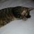 Herms N Julie Morfin's profile image