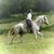 Gina Huth Ramey's profile image