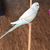 Luis Hernandez Rincon's profile image