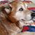 Judy Snyder's profile image