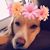 Laura Bryant-Baker's profile image