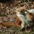 Jeff Carnes's profile image