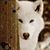 Dee Mueller's profile image