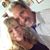 Karen Rojas's profile image