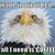 Gracie Howard's profile image