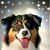 Lisa Schmiedl's profile image