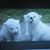 Linda Malone's profile image
