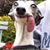 Louie Holt's profile image