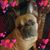 Shirley Hemphill's profile image