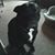Mary Burleigh's profile image