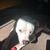 Janey Dough's profile image