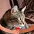 Cathy Larson's profile image