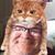 Billy Lee Cunningham's profile image