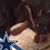 Pam Mccool's profile image