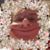 Elaine Myhre's profile image