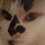 Camie Schaff Marking's profile image