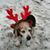 Julie Stipanovic's profile image