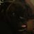 Nick Vid's profile image