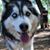 Nancy Hoefen's profile image
