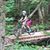 Cindi Baker Wight's profile image