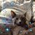 Mamare Ponatori's profile image