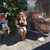 Kim Shaffer Lee's profile image